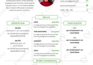 Good and Not Good Resume Samples Bad Resume Examples: Popular Mistake You Should Avoid