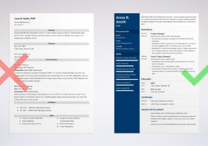 Good Sample Of Project Manager Resume Project Manager (pm) Resume / Cv Examples (template for 2022)