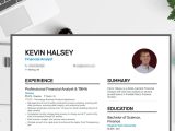 Good Sample Profile for It Resume How to Write An Effective Resume Profile (with Examples)