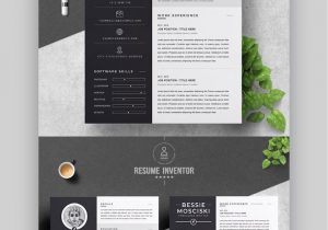 Graphic Design Resume Template Free Download 25 Kostenlose Vorlagen FÃ¼r Kreative LebenslÃ¤ufe (word- Und Psd …