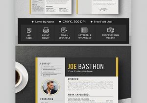 Graphic Design Resume Template Free Download 30 Best Web & Graphic Designer Resume Cv Templates (examples for 2020)