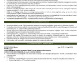 Health and Safety Officer Resume Sample Hse Manager Cv