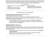 Help with Writing A Resume Sample Professional Resume Examples and Writing Tips