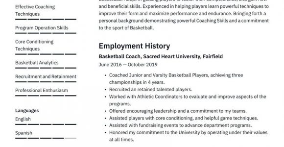 High School Basketball Coach Resume Sample Basketball Coach Resume Examples & Writing Tips 2021 (free Guide)