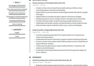 High School Guidance Counselor Resume Sample School Counselor Resume Examples & Writing Tips 2022 (free Guide)
