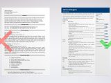 High School Maths Teacher Resume Sample Math Teacher Resume: Examples & Writing Guide [lancarrezekiqskills]