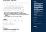 High School Student Volunteer Resume Sample Volunteer Resume Examples & Writing Tips 2022 (free Guide)