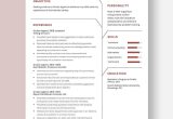 Holiday Inn Inbound Outbound Calls Resume Sample Agent Resume Templates – Design, Free, Download Template.net