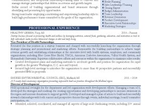 Holistic Wellness Medical Director Specialist Sample Resume Samples – Executive Resume Services