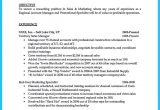 Home Depot Sales associate Resume Sample Home Depot Resume Sample – Derel