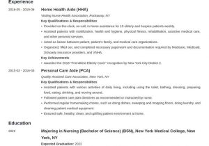 Home Health Aide Resume Objective Samples Home Health Aide Resume Example Template Minimo In 2020
