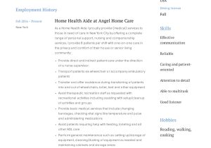 Home Health Aide Resume Summary Sample Home Health Aide Resume Guide 12 Examples Pdf