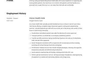 Home Health Aide Resume Summary Sample Home Health Aide Resume Guide 12 Examples Pdf