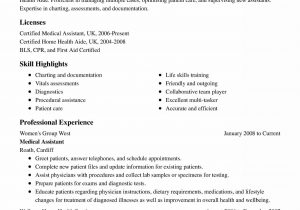 Home Health Care Provider Resume Sample 78 Elegant Collection Of Resume Summary Examples for Payroll …