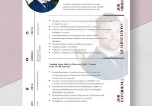 Home Health Director Of Nursing Resume Samples Free Free Nursing Home Activity Director Resume Template – Word …