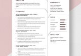 Home Health Director Of Nursing Resume Samples Home Health Care Nurse Resume Template – Word, Apple Pages …