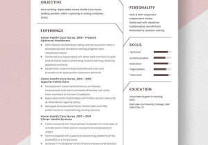 Home Health Director Of Nursing Resume Samples Home Health Care Nurse Resume Template – Word, Apple Pages …