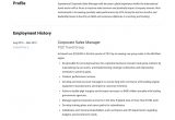 Hotel Senior Sales Manager Resume Sample Corporate Sales Manager Resume & Writing Guide 12 Examples In Pdf