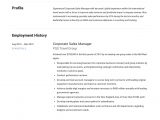 Hotel Senior Sales Manager Resume Sample Corporate Sales Manager Resume & Writing Guide 12 Examples In Pdf