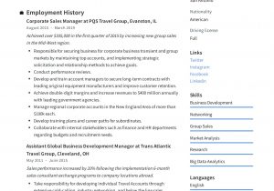 Hotel Senior Sales Manager Resume Sample Corporate Sales Manager Resume & Writing Guide 12 Examples In Pdf