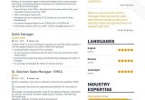 Hotel Senior Sales Manager Resume Sample Sales Manager Resume Samples and 10lancarrezekiq Examples Sales Resume …