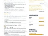 Hotel Senior Sales Manager Resume Sample Sales Manager Resume Samples and 10lancarrezekiq Examples Sales Resume …