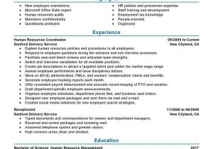 Hr and Admin Executive Resume Sample Hr Specialist Resume Sample – Good Resume Examples