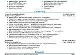 Human Resources Resume Sample Entry Level 20 Best Human Resources Resume Ideas Human Resources Resume …