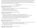 Import Export Documentation Executive Resume Sample Import Export Documentation Executive Resume Writer & Example