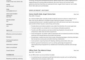 In Home Care Provider Resume Sample Home Health Aide Resume Sample & Writing Guide –  12 Samples Pdf