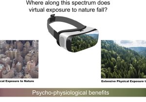 Indeed Resume Samples On Virtual Reality Frontiers Can Simulated Nature Support Mental Health? Comparing …