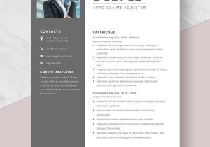 Independent Property Claims Insurance Adjuster Resume Samples Free Free Auto Claims Adjuster Resume Template – Word, Apple …