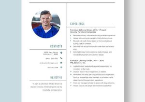 Independent Tire Delivery Contractor Resume Samples Driver Resume Templates – Design, Free, Download Template.net