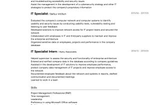 Information Security Project Manager Sample Resume It Project Manager Resume Samples All Experience Levels Resume …