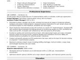 Information Security Project Manager Sample Resume Midlevel It Project Manager Resume Monster.com