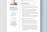 Information System Security Officer Sample Resume Chief Information Security Officer Resume Template – Word, Apple …