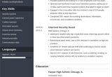 Information System Security Officer Sample Resume Security Officer Resume: Sample, Job Description & Tips