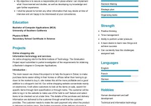 Information Technology Graduate Student Resume Sample Information Technology Student Resume 2022 Writing Tips …