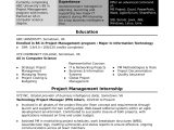 Information Technology Project Manager Resume Sample Sample Resume for An assistant It Project Manager Monster.com
