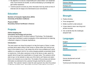 Information Technology Sample Resume area Of Strength Information Technology Student Resume 2022 Writing Tips …