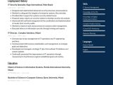 Information Technology Test Manager Resume Sample Information Technology Resume Examples & Writing Tips 2022 (free