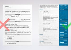 Information Technology Test Manager Resume Sample It Manager Resume Examples [lancarrezekiqtemplate and 25 Tips]