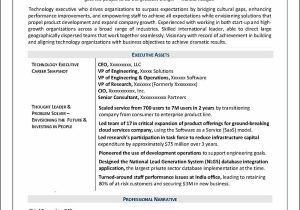 Information Technology Vice President Resume Sample Cto Resume Example – Distinctive Career Services