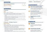 Information Technology Vice President Resume Sample It Director Resume Examples Do’s and Don’ts for 2022 Enhancv …
