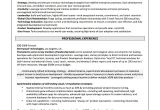 Information Technology Vice President Resume Sample What Should An It Resume Look Like? â are You Searching for An It …