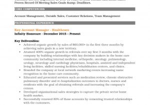 Inside Sales Account Manager Resume Sample Looking for A Great Account Manager Resume? Here You are!