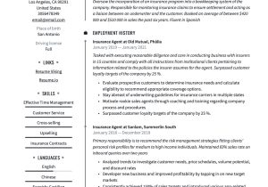 Insurance Csr Resume Sample assisting In Gathering Of Renewal Exposure Insurance Agent Resume & Writing Guide  20 Templates
