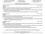 Insurance Customer Service Representative Resume Sample Insurance Agent Resume Sample Professional Resume Examples …