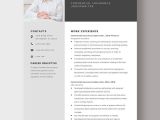 Insurance Underwriting assistant Sample Resume Example Underwriter Resume Templates – Design, Free, Download Template.net
