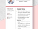 Interior Design Project Manager Resume Sample Project Manager Resume Templates – Design, Free, Download …